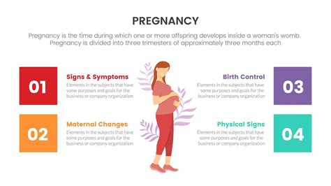 Pregnancy Infographic Concept For Slide Presentation With 4 Point List