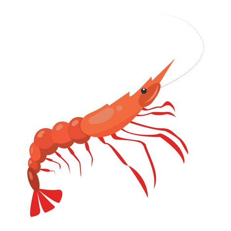 Realistic Fresh Shrimp On White Background Vector 3016682 Vector Art At Vecteezy