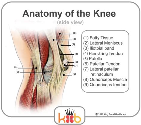 Knee Pain Treatment to Help Relieve Knee Pain