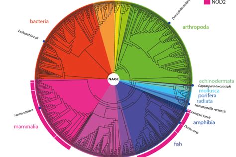 Biochemie Forschung Fakult T F R Chemie Und Pharmazie Lmu M Nchen