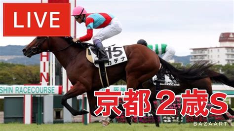 【競馬中継】『 京都2歳ステークス 』 ～ ★予想バトル開催中★ Youtube