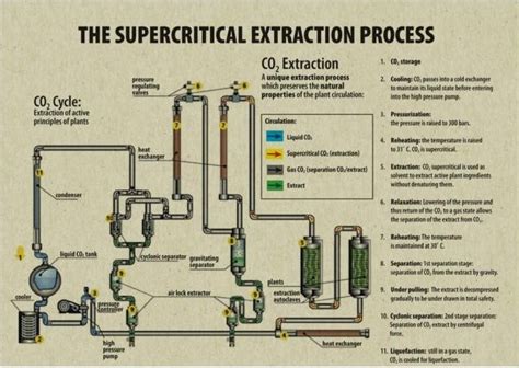 What Is CO2 Extraction And How Does It Work Premium Jane Blog