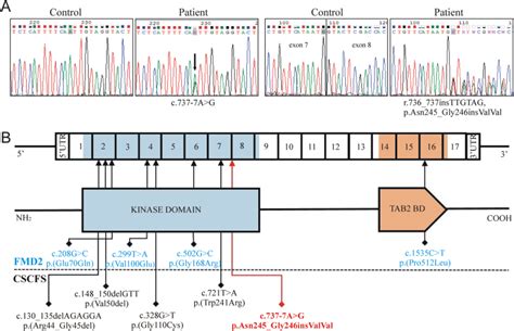 mapk splice mutation  cardiospondylocarpofacial