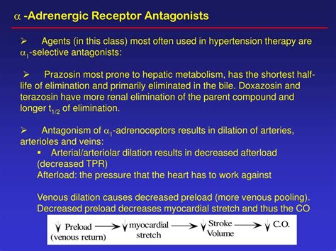 PPT Adrenergic Receptor Antagonists In Therapy Of Hypertension