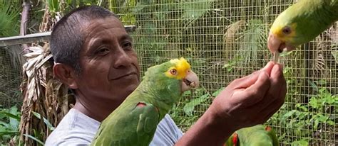 The Belize Zoo at 40! A Reflection on Four Decades of Wildlife ...