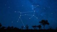 Canis Major Constellation: Stars, Mythology, How to Find | Canis Major Sirius | Star Walk