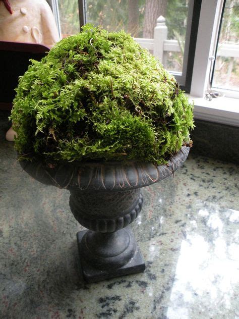 11 Decorating With Moss Balls Ideas Moss Balls Spring Decor Moss