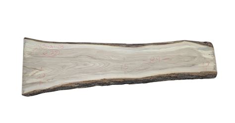 American Elm Slab 240621-05 – Urban Lumber