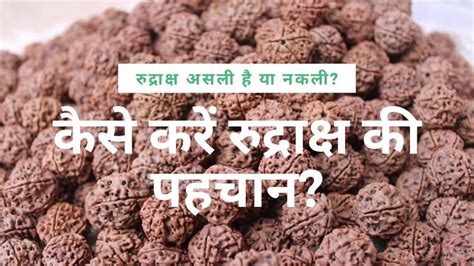 Identify Real Rudraksha How To Check Original Water Test Of Rudraksha