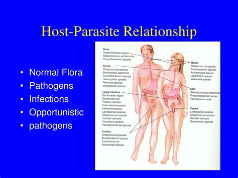 Ppt Host Parasite Relationship Powerpoint Presentation Free Download Id 9117879