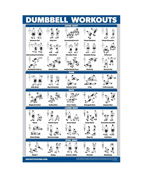 Palace Learning Dumbbell Workout Exercise Poster Free Weight Body