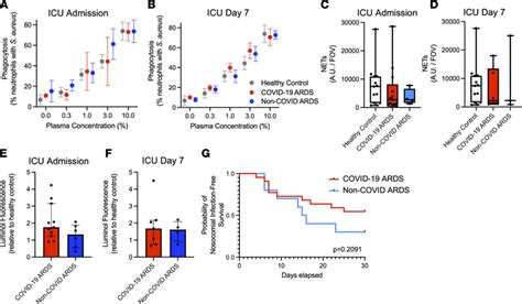 Neutrophils in COVID-19 and non-COVID ARDS remain functionally ...