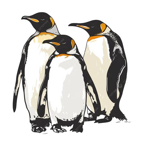 penguins cartoon drawing 6