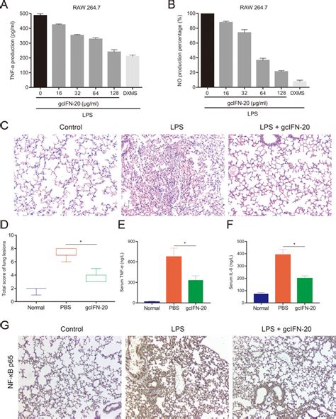 Anti Inflammatory Activity Of Gcifn In Lps Induced Raw Cells