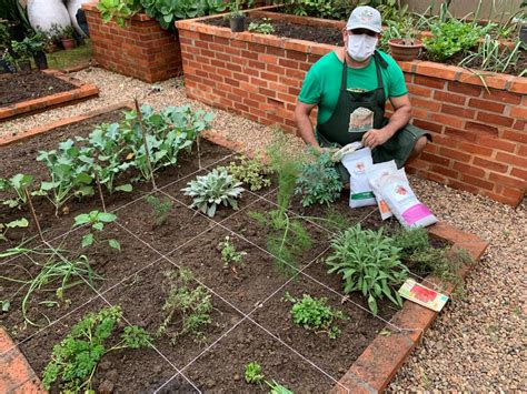 Como fazer uma horta orgânica Blog do Jardineiro Amador