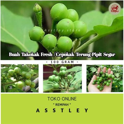 Buah Takokak Atau Cepokak 1 Kg Lazada Indonesia