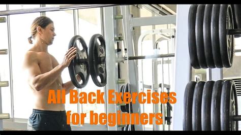 All Back Exercises for beginners | Back exercises, Workout for beginners, Exercise