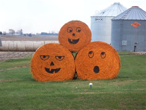 Free Images Hay Bale Farm Fall Country Orange Farming Autumn