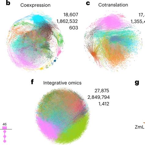 Pdf A Multi Omics Integrative Network Map Of Maize