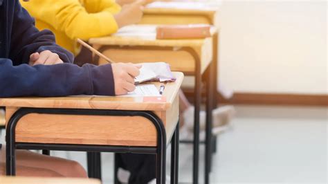 Quanto Precisa Tirar No Enem Para Passar Em Medicina Veterinária