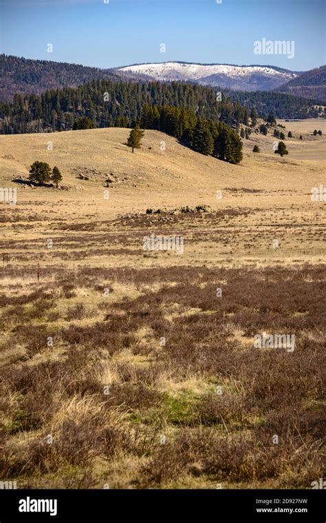 Valles Caldera National Preserve Stock Photo - Alamy