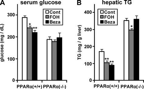 Effects Of Foh Treatment On Hepatic Tg Accumulation And Serum Glucose