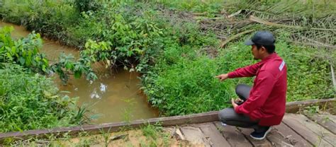 Lagi Dan Lagi Sungai Tercemar Akibat Tambang Batubara DLH Kukar