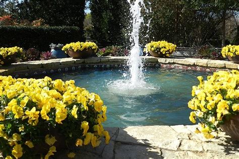 Dallas Botanical Gardens Tour - Hellotickets