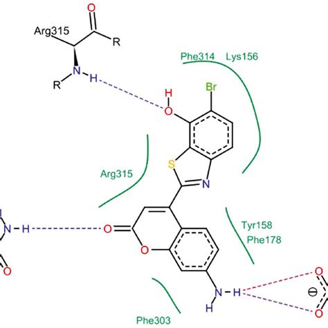 Interaction Of Compound 5c With The Binding Site Of The Target Enzyme