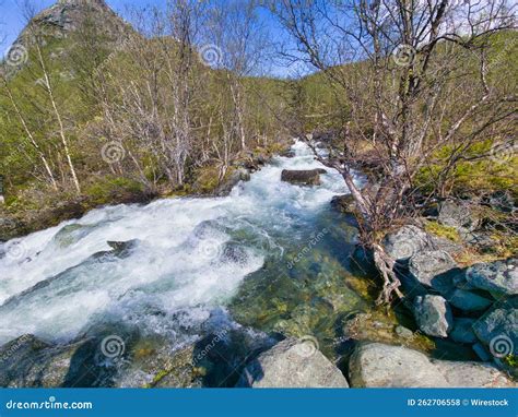 Strong And Foamy Waves Of A River Flowing In A Forest Surrounded By