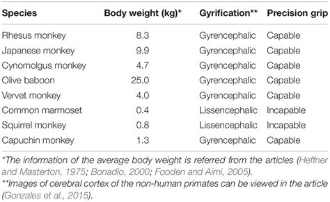 Frontiers Non Human Primate Models To Explore The Adaptive Mechanisms