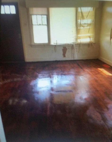 how to remove urine smell from carpet 14