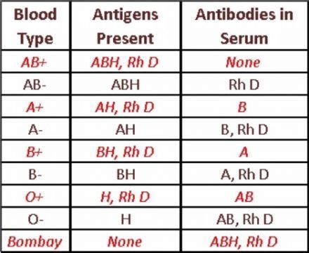 Genotype Chart For Blood Types