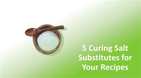 5 Curing Salt Substitutes For Your Recipes