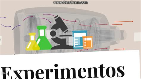 Diseño De Experimentos Cientificos Youtube