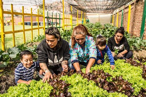 Agricultura Urbana Una Pr Ctica Necesaria Para Potenciar En Bogot