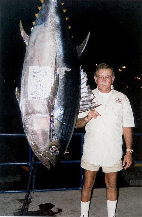 Photos of Bigeye Tuna (Including World Records) - page 1