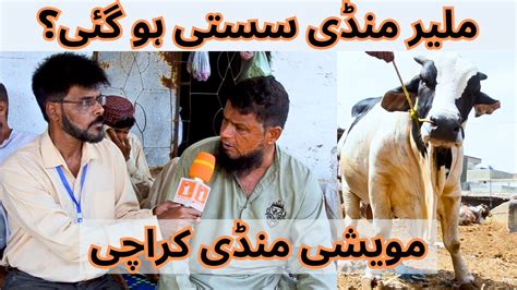 Malir Mandi Sasti Ho Gai Cattle Market Karachi Behtreen Janwar Achy