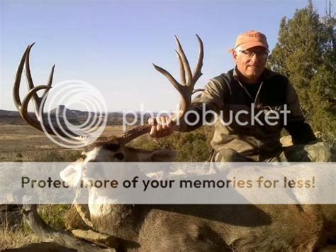 Magnum Plains Buck Mule Deer Fanatic