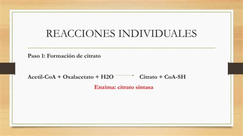 Ciclo De Krebs Ppt