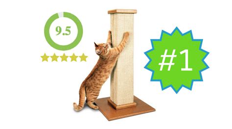 SmartCat Ultimate Scratching Post - Review – Kitty Loaf