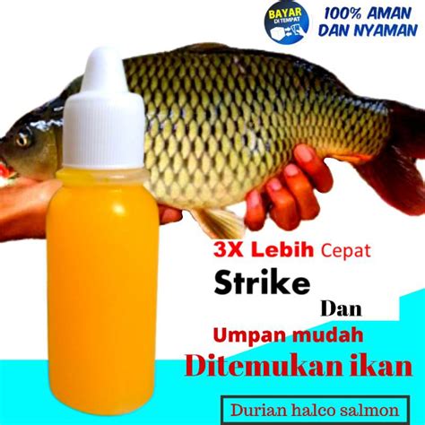 Jual Essen Ikan Mas Paling Bagus Umpan Ikan Mas Essen Paling Jitu Ikan