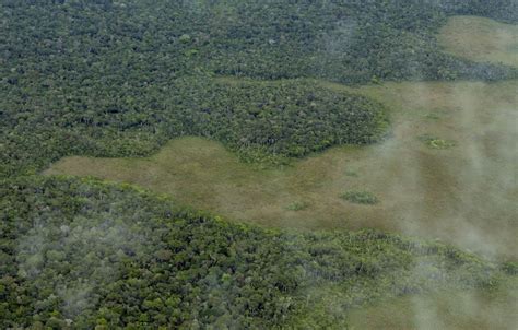 Amazon River Deforestation