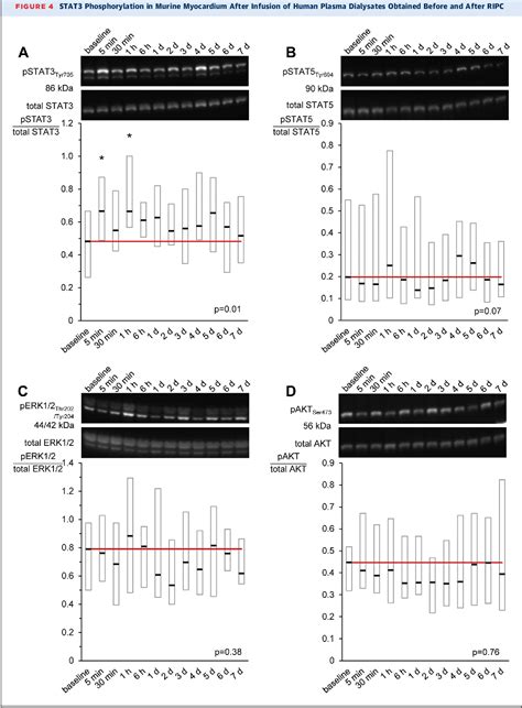 Kinetics And Signal Activation Properties Of Circulating Factor S From