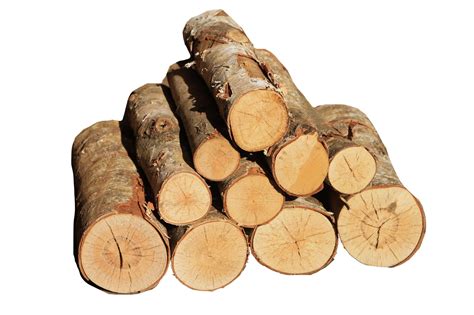 White Birch Round Logs Box Premier Firewood Company Nationwide