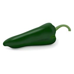 Whole Quarter Of Poblano Pepper Royalty Free Vector Image