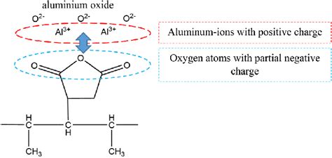 A possible attachment of the maleic anhydride molecule to the PP chain ...