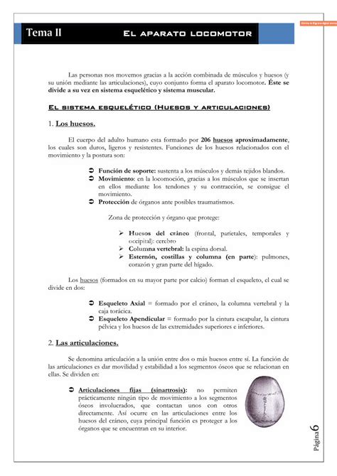 PDF Tema II El Aparato Locomotor Edu Xunta Gal 4reducido Pdf El