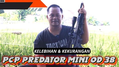 Kelebihan Dan Kekurangan Senapan Angin Pcp Predator Mini Od Youtube