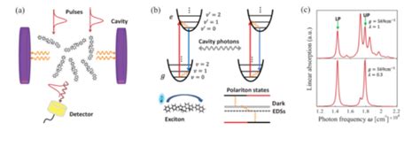 The Innovation Physics On Twitter Phys Rev Lett